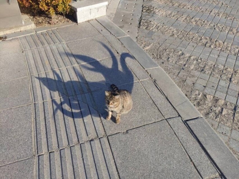 22 beautiful examples of the play of light and shadow 22 beautiful examples of the play of light and shadow