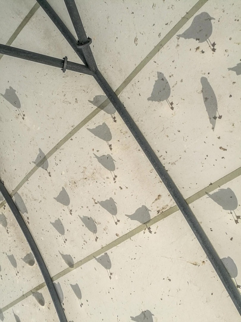 22 beautiful examples of the play of light and shadow 22 beautiful examples of the play of light and shadow