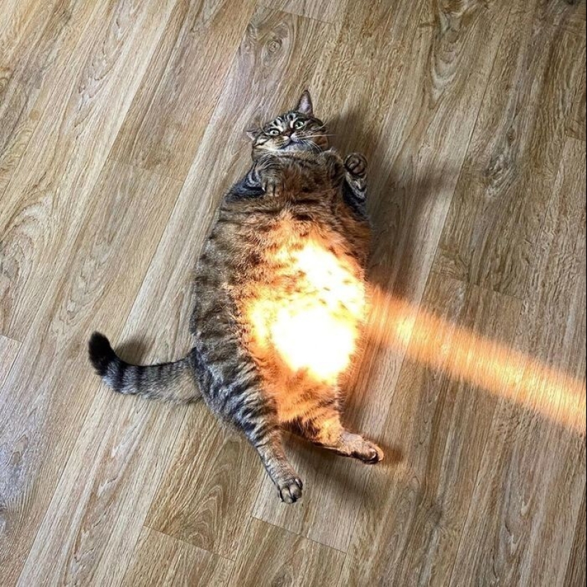 22 beautiful examples of the play of light and shadow 22 beautiful examples of the play of light and shadow