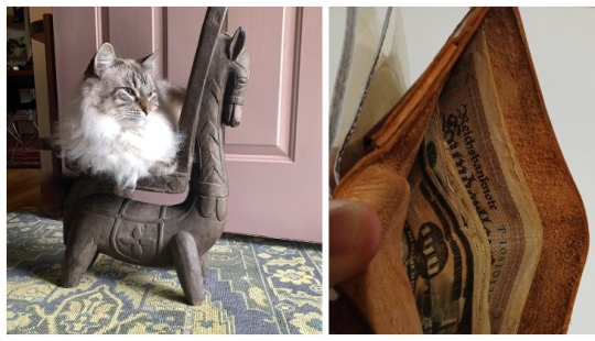 22 cases when it turned out to grab cool things for a low price 22 cases when it turned out to grab cool things for a low price