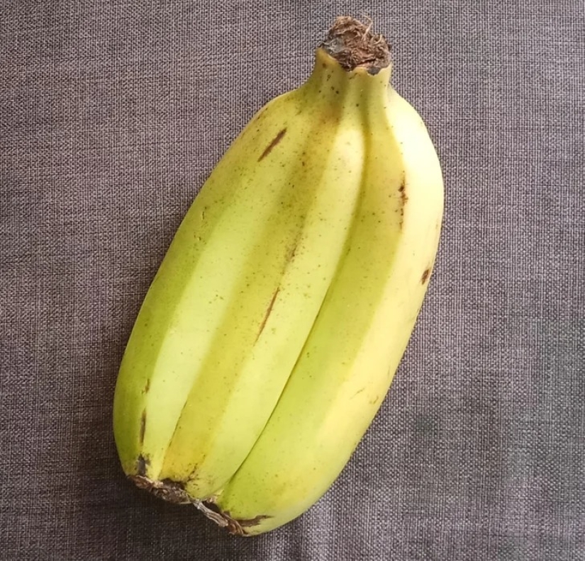 22 cases when nature surprised in the most unexpected way 22 cases when nature surprised in the most unexpected way