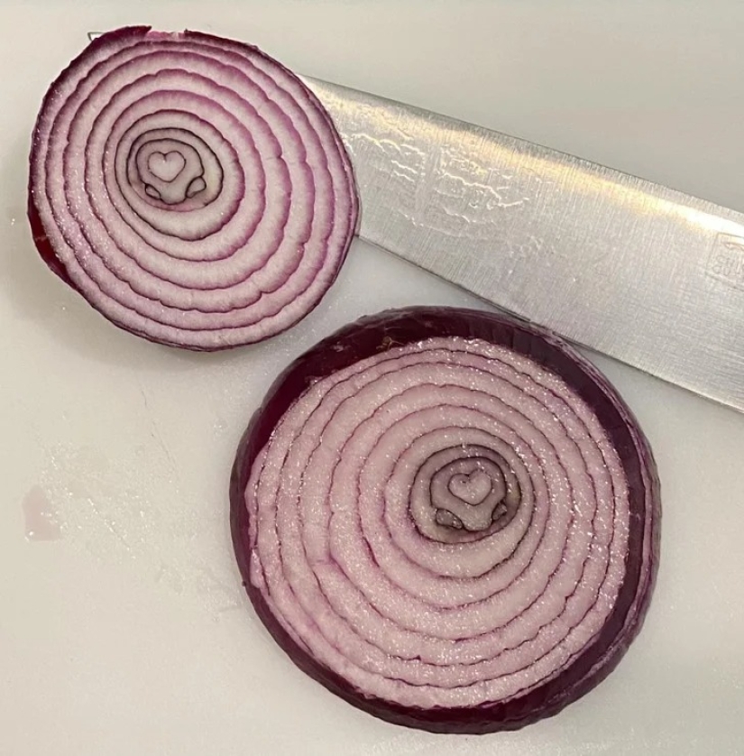 22 cases when nature surprised in the most unexpected way 22 cases when nature surprised in the most unexpected way