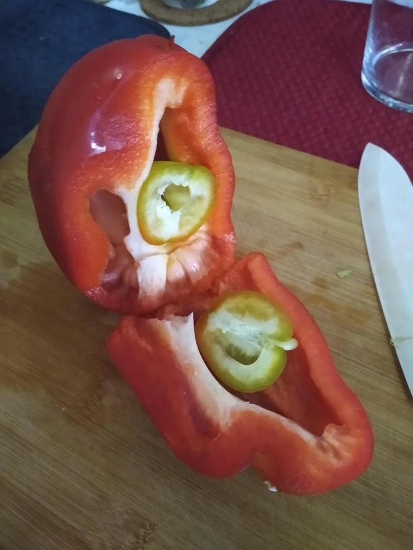 22 cases when nature surprised in the most unexpected way 22 cases when nature surprised in the most unexpected way