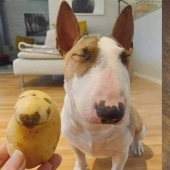 22 cases when nature surprised in the most unexpected way