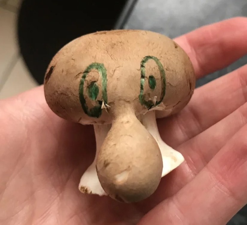 22 cases when nature surprised in the most unexpected way 22 cases when nature surprised in the most unexpected way