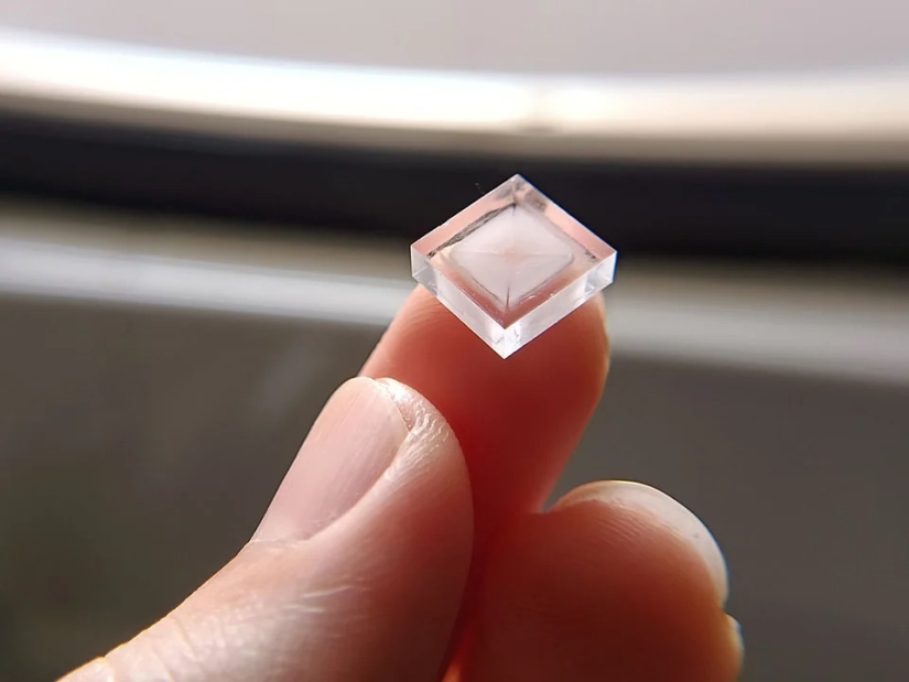 22 cases when nature surprised in the most unexpected way 22 cases when nature surprised in the most unexpected way