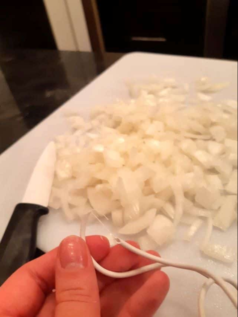 22 cases when people have been so stupid that they are even ashamed of them 22 cases when people have been so stupid that they are even ashamed of them