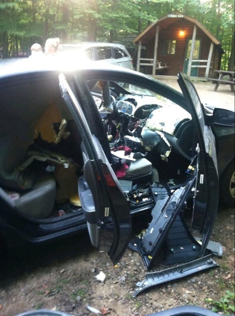 22 cases when people have been so stupid that they are even ashamed of them 22 cases when people have been so stupid that they are even ashamed of them