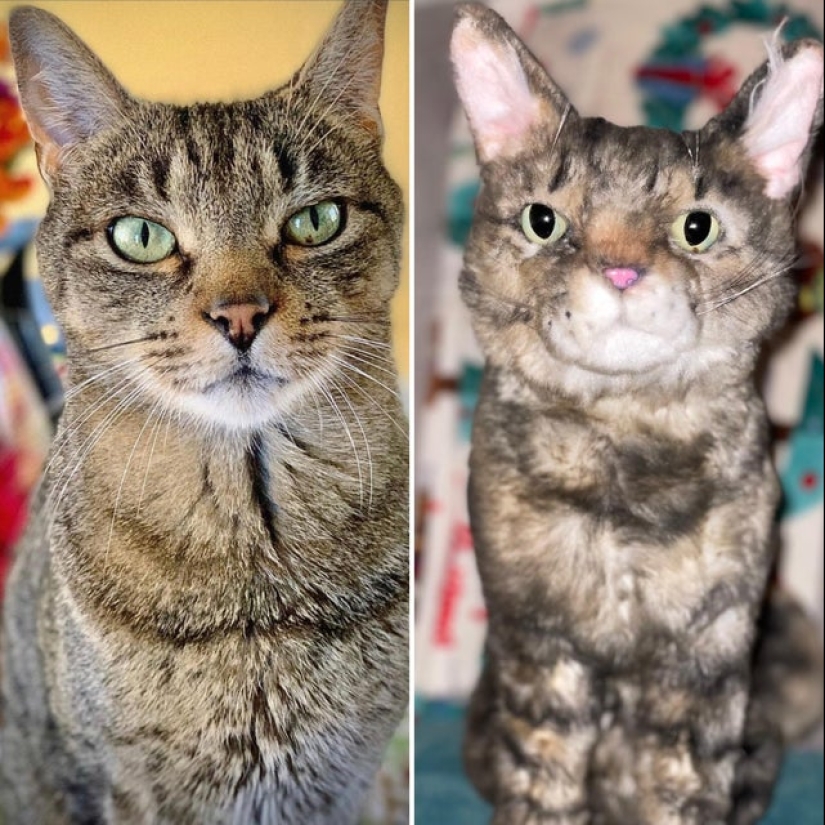 22 casos de compras en línea que te dan ganas de llorar y reír 22 casos de compras en línea que te dan ganas de llorar y reír