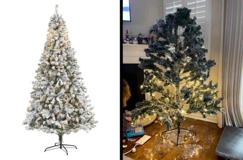 22 casos de compras en línea que te dan ganas de llorar y reír 22 casos de compras en línea que te dan ganas de llorar y reír