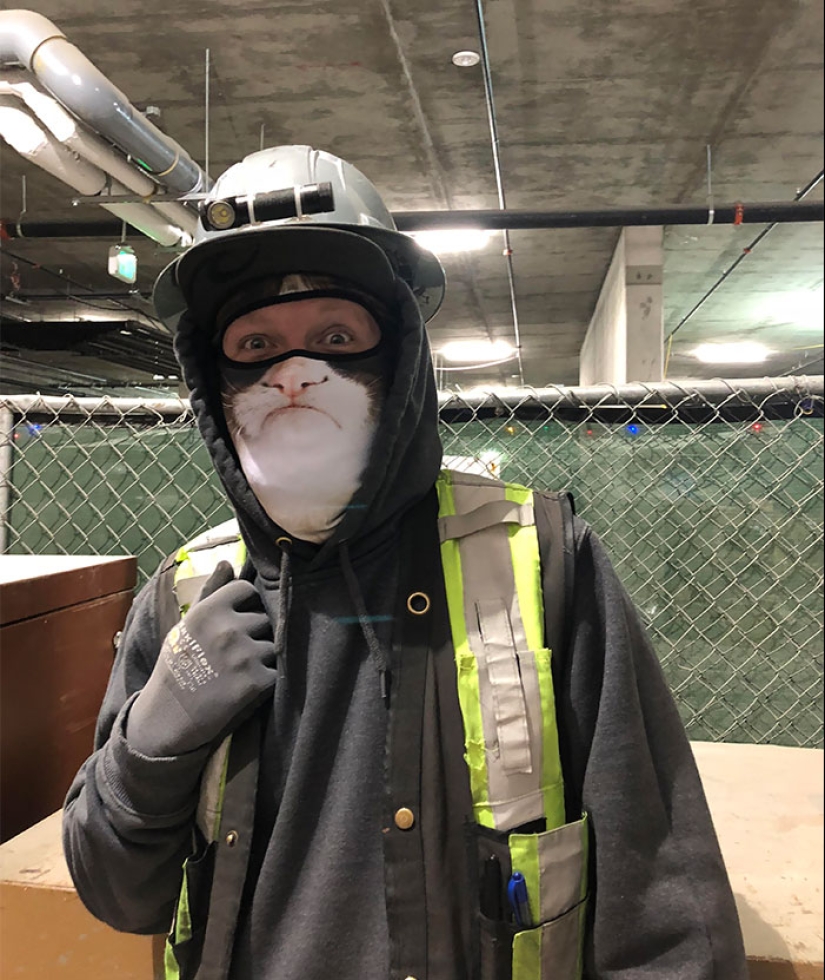 22 casos en los que los colegas pudieron sorprender con sus ideas divertidas