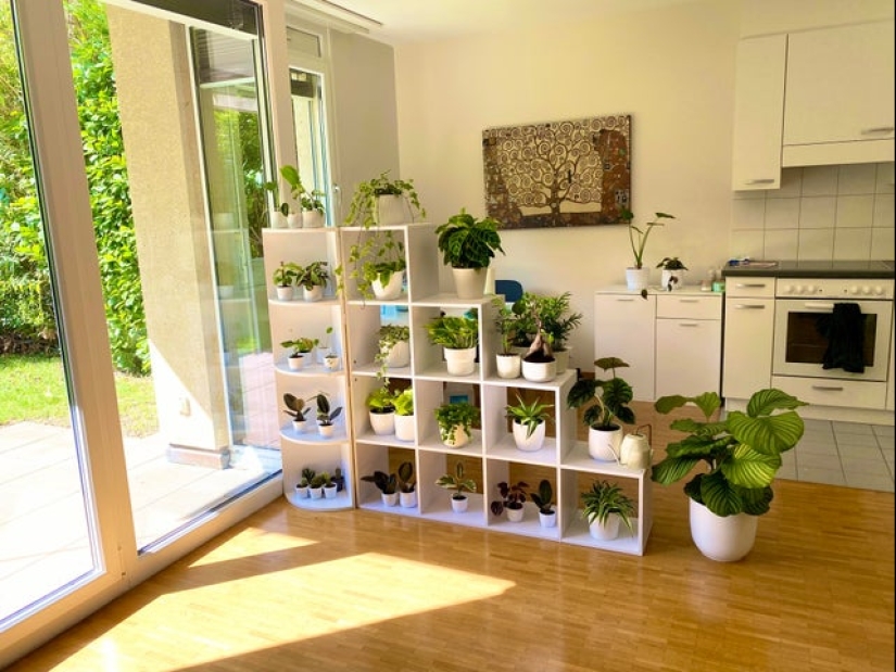 22 cool ideas for organizing space that are pleasing to the eye