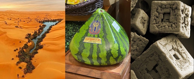 22 cosas increíbles, pero reales que no todo el mundo está destinado a ver en la vida