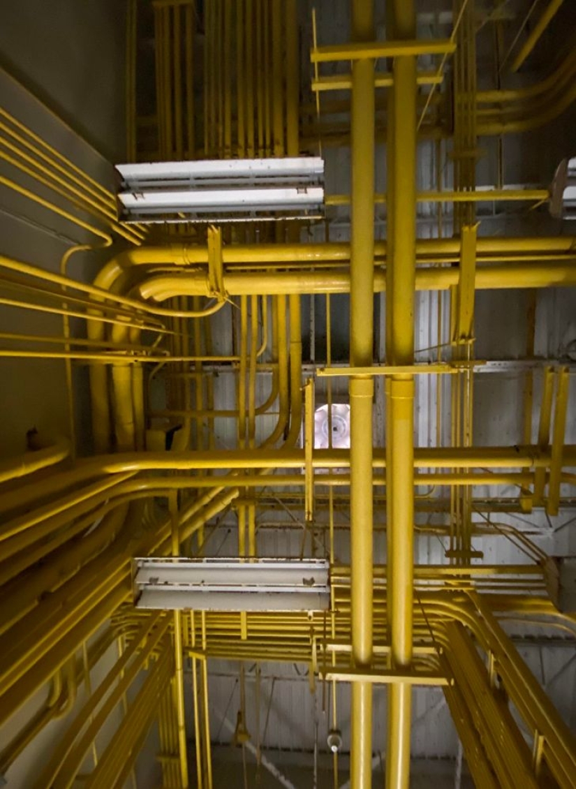 22 cosas increíbles, pero reales que no todo el mundo está destinado a ver en la vida