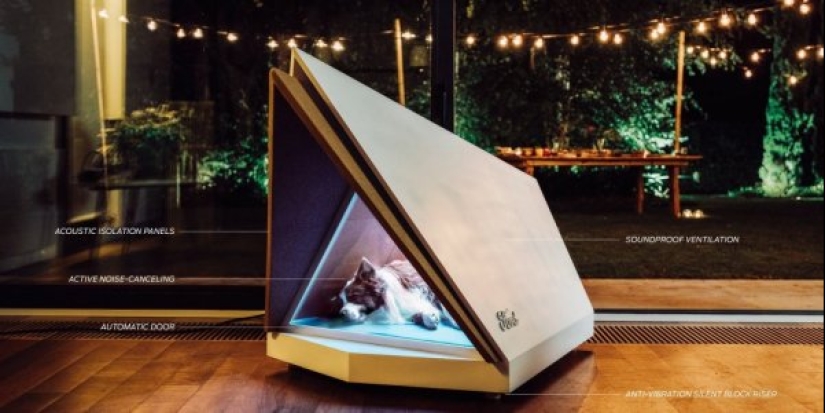 22 cosas inusuales creadas por diseñadores y artesanos para animales 22 cosas inusuales creadas por diseñadores y artesanos para animales