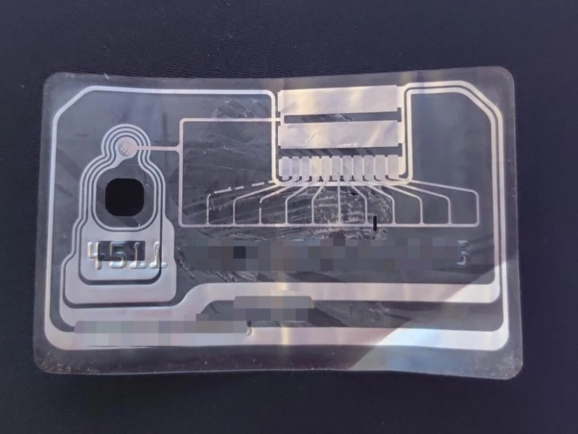 22 curiosas fotos que muestran el mundo interior de diferentes cosas