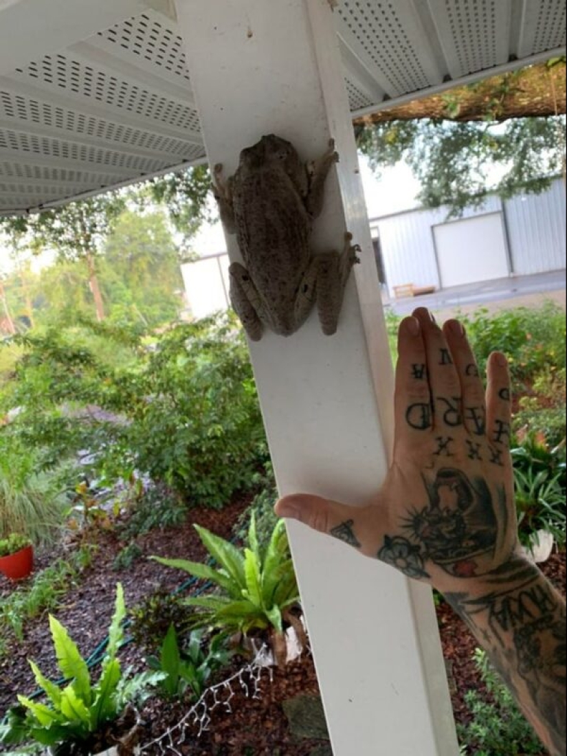 22 curiosidades de todo el mundo que definitivamente vale la pena ver