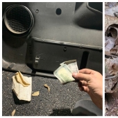 22 descubrimientos interesantes que la gente no podía evitar compartir en línea