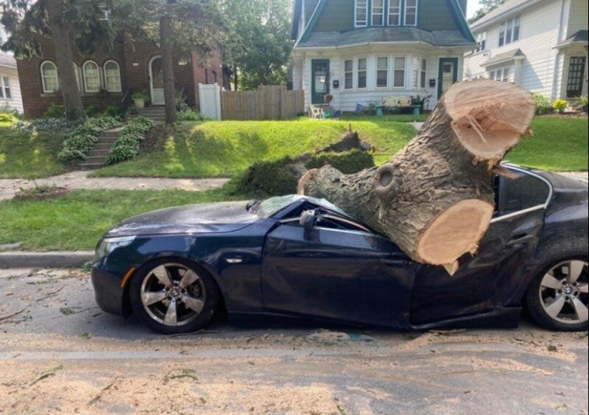 22 divertido, pero al mismo tiempo fotos tristes de personas que tuvieron mala suerte 22 divertido, pero al mismo tiempo fotos tristes de personas que tuvieron mala suerte