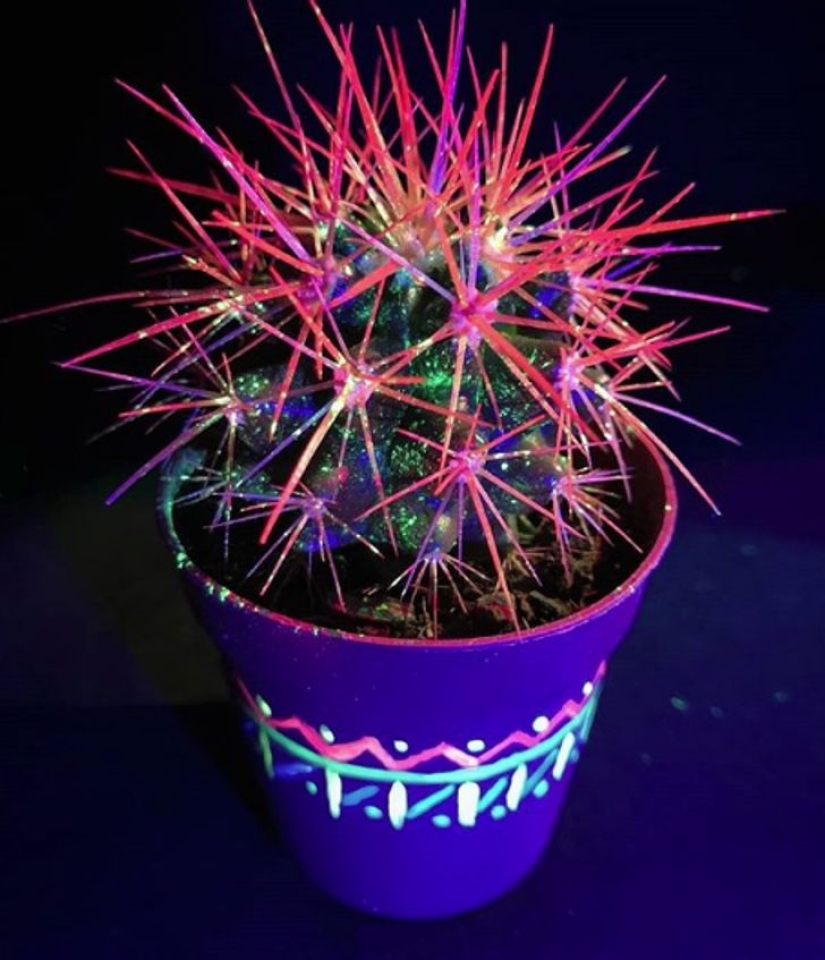 22 ejemplos de cómo el mundo circundante cambia bajo una lámpara ultravioleta 22 ejemplos de cómo el mundo circundante cambia bajo una lámpara ultravioleta