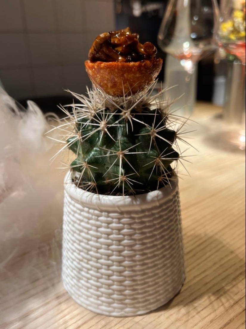 22 ejemplos de platos muy extraños, de los que perderás el apetito