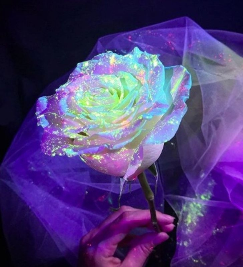 22 examples of how the surrounding world changes under an ultraviolet lamp 22 examples of how the surrounding world changes under an ultraviolet lamp