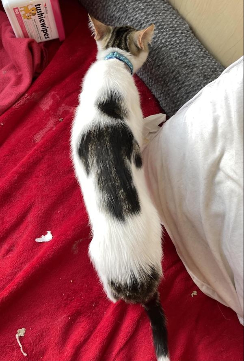 22 extraños hallazgos que han causado perplejidad a la gente 22 extraños hallazgos que han causado perplejidad a la gente