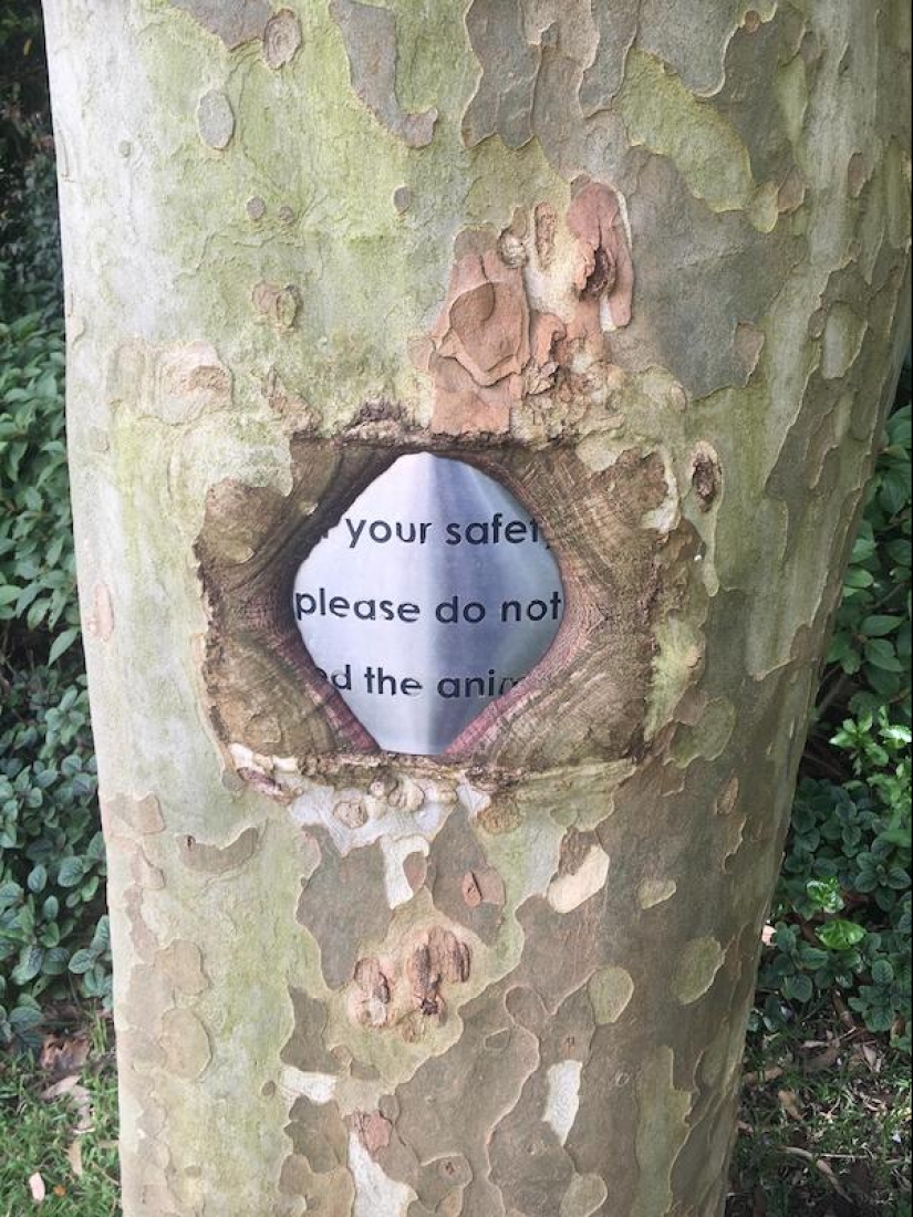 22 extraños hallazgos que han causado perplejidad a la gente 22 extraños hallazgos que han causado perplejidad a la gente