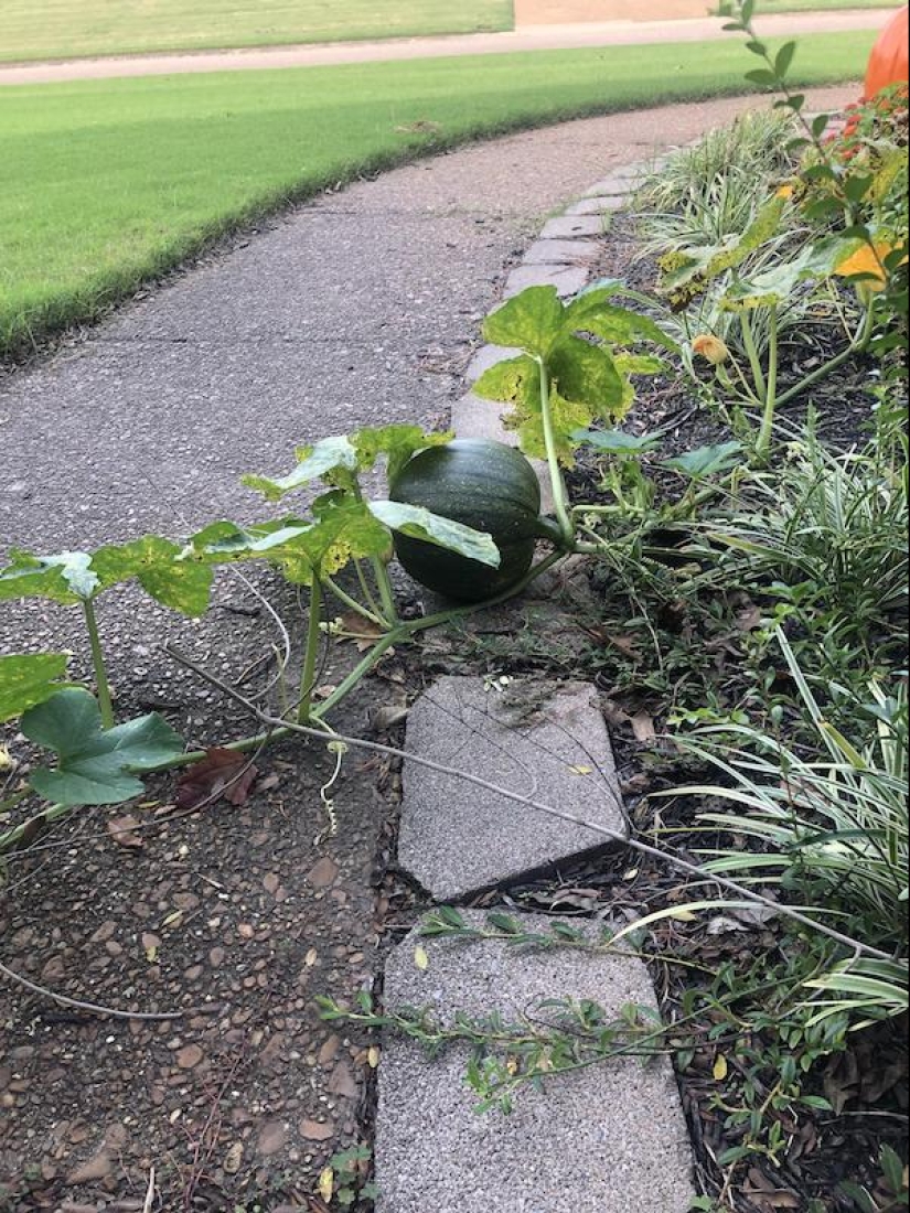 22 extraños hallazgos que han causado perplejidad a la gente 22 extraños hallazgos que han causado perplejidad a la gente