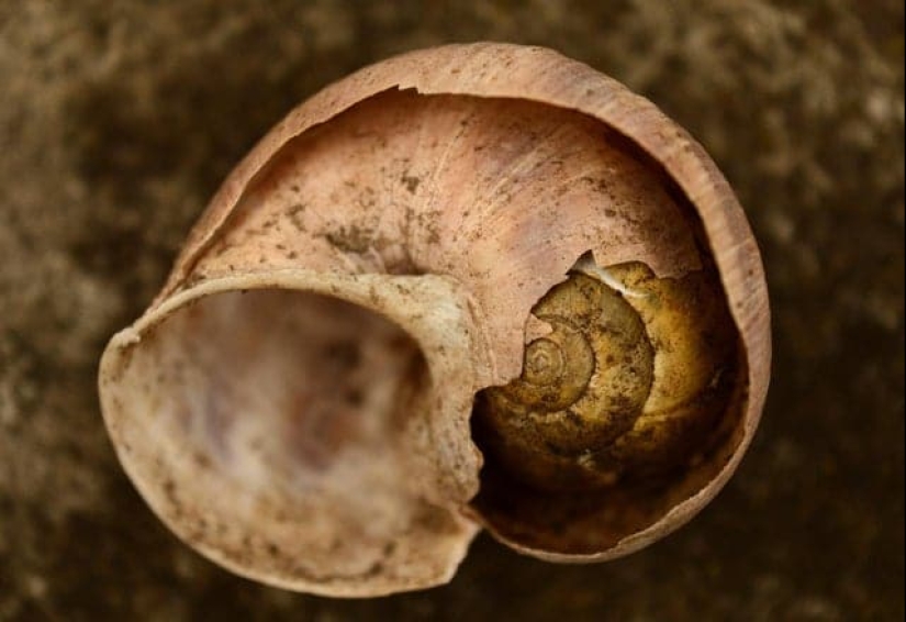 22 extraños hallazgos que han causado perplejidad a la gente 22 extraños hallazgos que han causado perplejidad a la gente