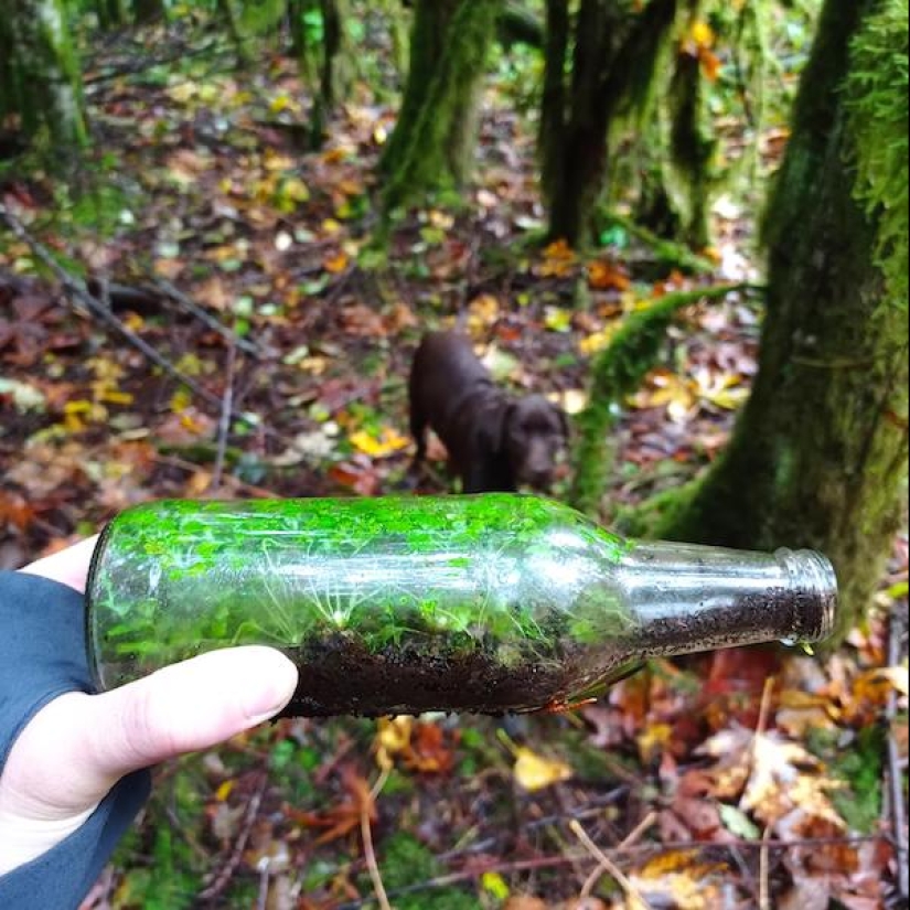 22 extraños hallazgos que han causado perplejidad a la gente 22 extraños hallazgos que han causado perplejidad a la gente