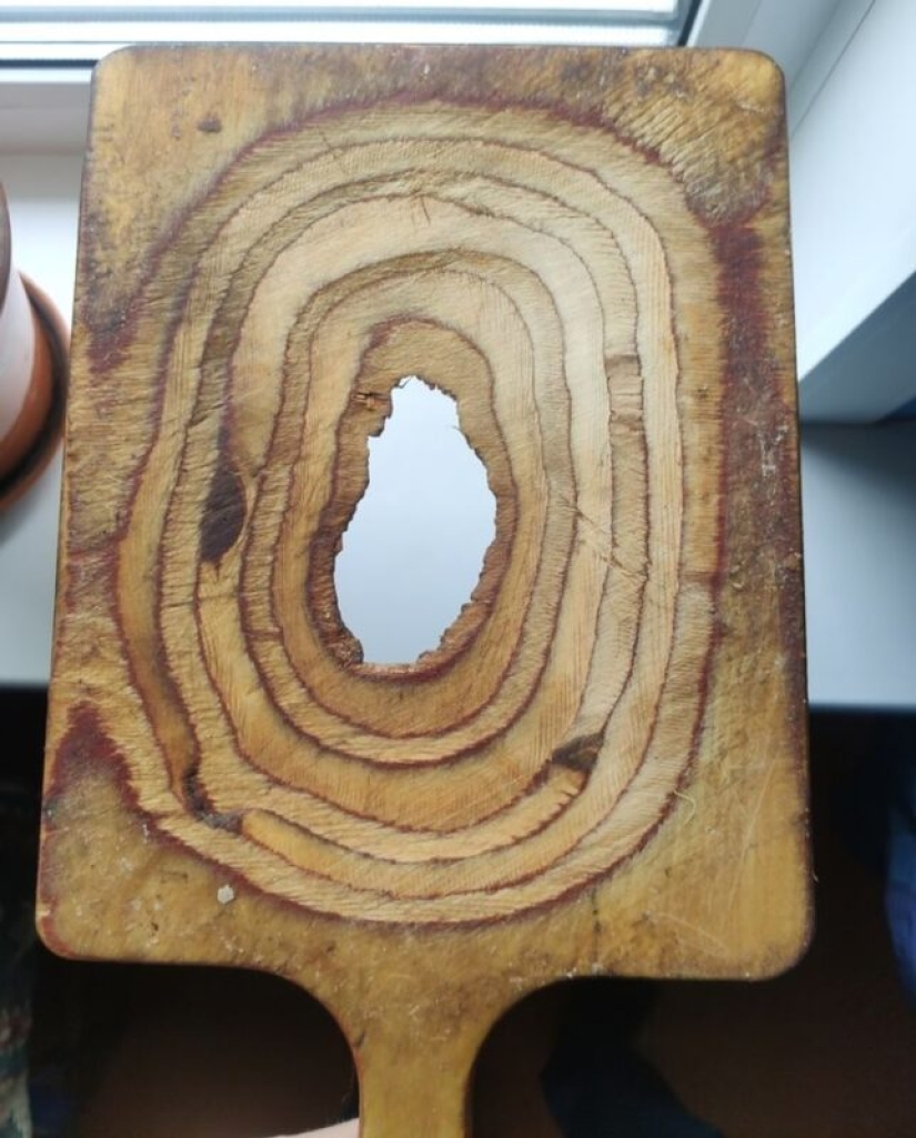 22 facts about grandmothers that defy logical explanation 22 facts about grandmothers that defy logical explanation