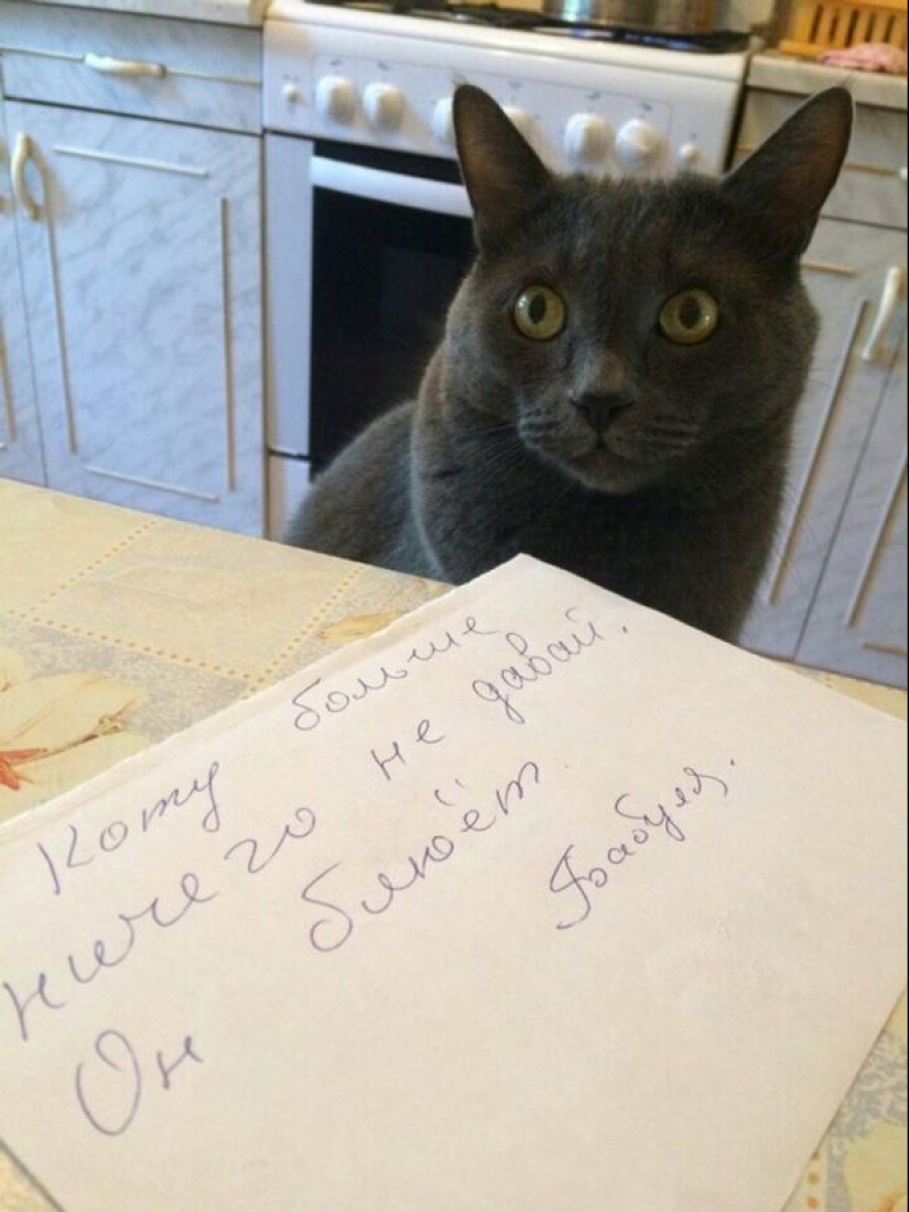 22 facts about grandmothers that defy logical explanation 22 facts about grandmothers that defy logical explanation