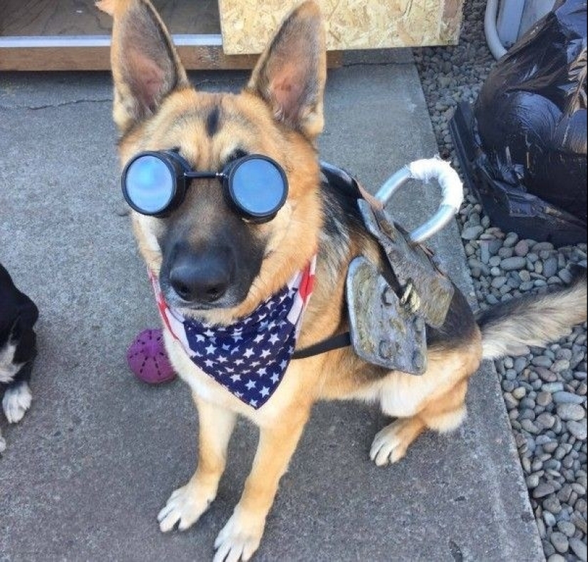 22 fanáticos desesperados de los videojuegos los traen a la vida real