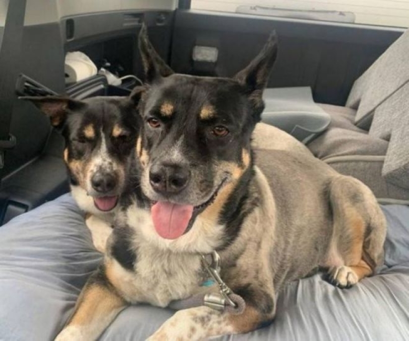 22 fotografías con ángulos engañosos que te dejarán boquiabierto. 22 fotografías con ángulos engañosos que te dejarán boquiabierto.