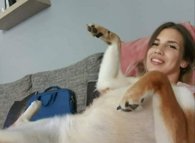 22 fotografías con ángulos engañosos que te dejarán boquiabierto. 22 fotografías con ángulos engañosos que te dejarán boquiabierto.