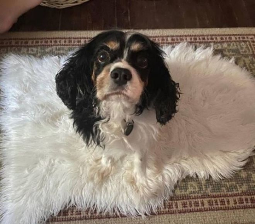 22 fotografías con ángulos engañosos que te dejarán boquiabierto. 22 fotografías con ángulos engañosos que te dejarán boquiabierto.