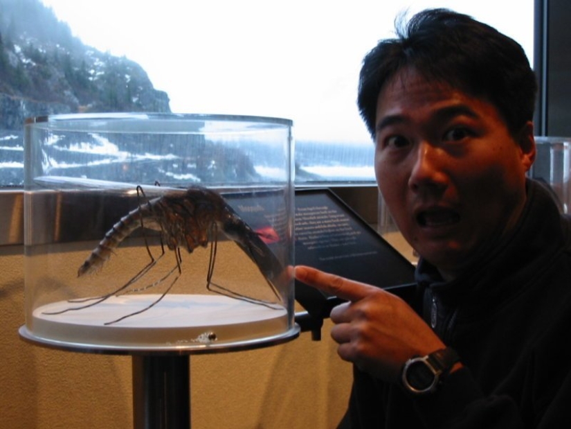 22 fotos aterradoras que te ponen la piel de gallina 22 fotos aterradoras que te ponen la piel de gallina