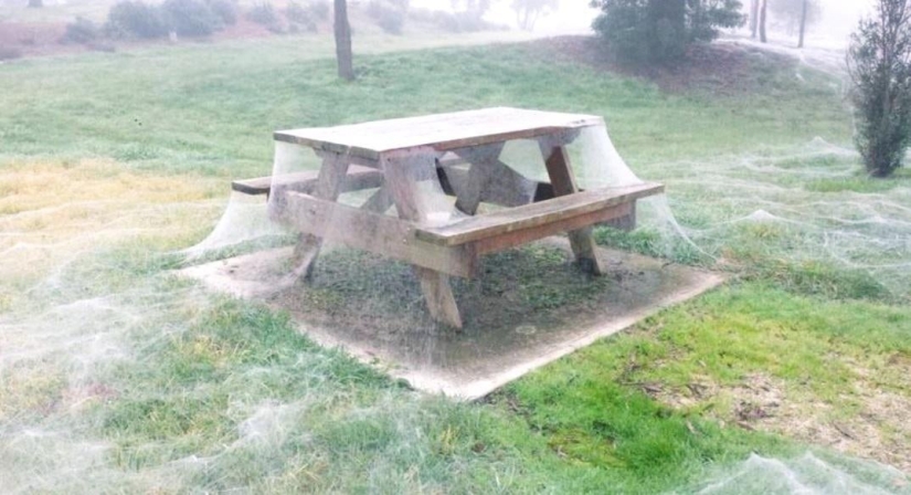 22 fotos aterradoras que te ponen la piel de gallina 22 fotos aterradoras que te ponen la piel de gallina