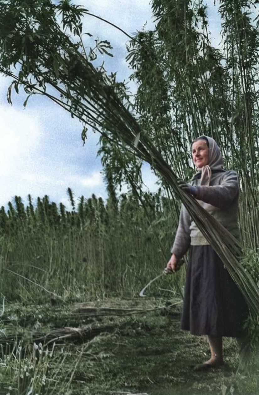 22 fotos con una rica historia que te permiten mirar el pasado desde un ángulo diferente 22 fotos con una rica historia que te permiten mirar el pasado desde un ángulo diferente