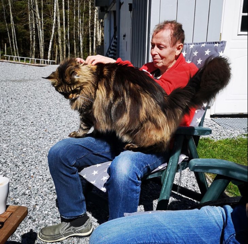 22 fotos de animales muy grandes que han olvidado que son grandes 22 fotos de animales muy grandes que han olvidado que son grandes