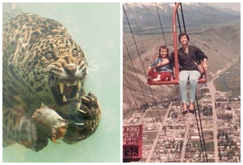22 fotos de cosas muy extrañas y hasta aterradoras que realmente existen 22 fotos de cosas muy extrañas y hasta aterradoras que realmente existen