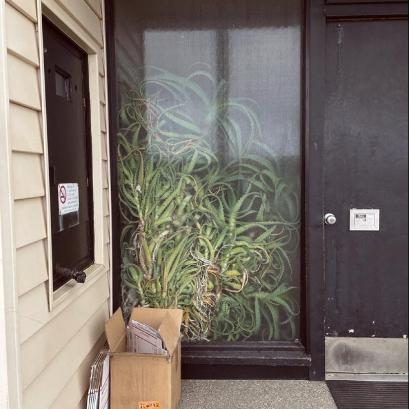 22 fotos de cosas muy extrañas y hasta aterradoras que realmente existen 22 fotos de cosas muy extrañas y hasta aterradoras que realmente existen