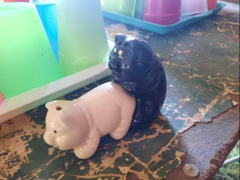 22 fotos de cosas que son hermosas y terribles al mismo tiempo 22 fotos de cosas que son hermosas y terribles al mismo tiempo