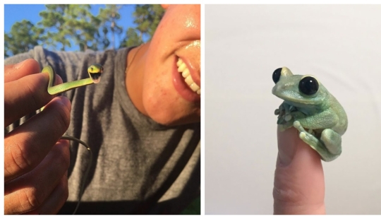 22 fotos de pequeños animales que traen gran alegría