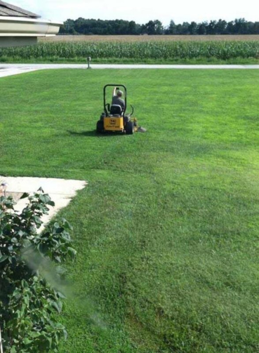 22 fotos de personas atrapadas tomando selfies idiotas