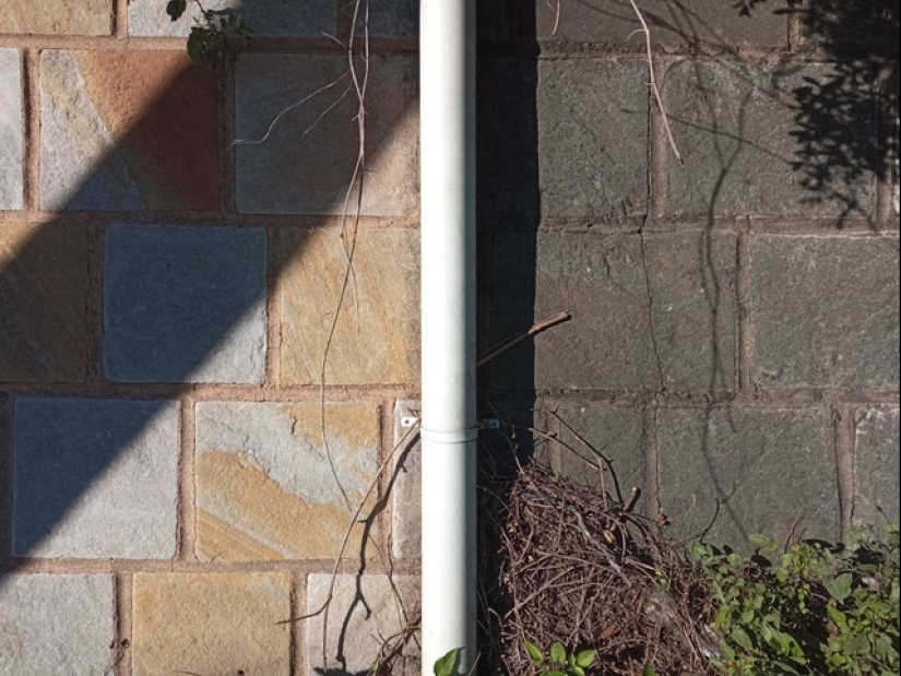 22 fotos, después de ver que usted querrá urgentemente hacer la limpieza