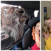 22 fotos divertidas ilusiones ópticas que se debe confundir cualquier