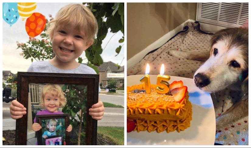 22 fotos donde el nivel de mimetismo está fuera de escala 22 fotos donde el nivel de mimetismo está fuera de escala