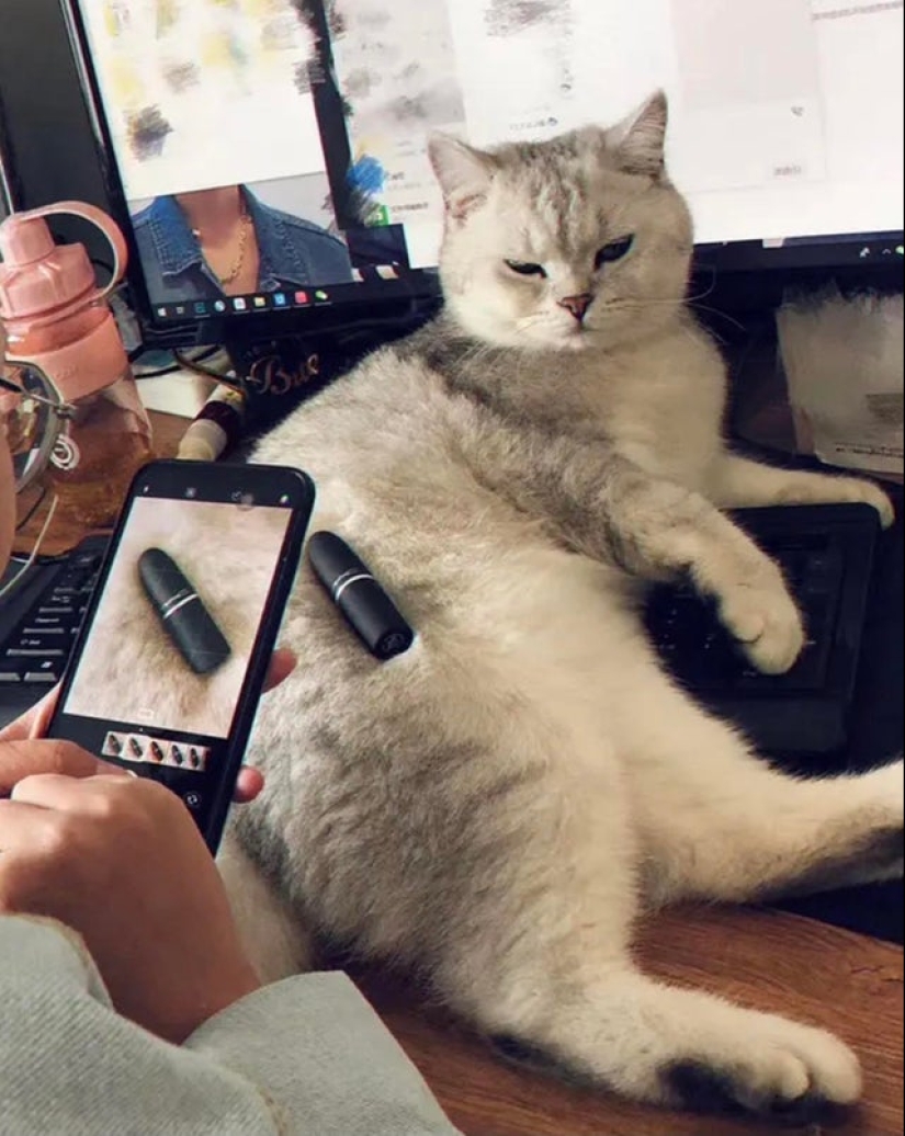 22 fotos donde el nivel de mimetismo está fuera de escala 22 fotos donde el nivel de mimetismo está fuera de escala